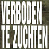 Weet gij iets klaar uit te leggen
van al ‘t geen me u vragen kan?
Antwoordt dan en wilt mij zeggen:
Dichten... wat is dichten dan?