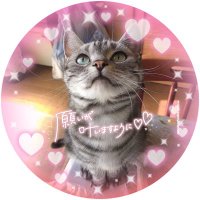 ãã¡ããðŸ (@himechan0107) 's Twitter Profile
