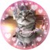ヒメパパ🐾 (@himechan0107) Twitter profile photo ヒメパパ🐾 (@himechan0107) Twitter profile photo