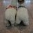 yuko03963328