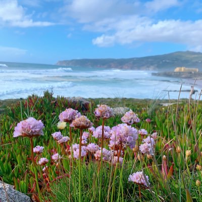 CaiMabelle's profile picture. 