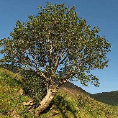 bpalms3's profile picture. 