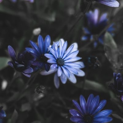 💎Yüksek takılmak💎
🔥Full Aktifim 🔥
Her şey Sex demek değildir fakat SEX herşey demektir..!
Mutlu olmak istiyorsan, önce mutlu etmesini bileceksin.
