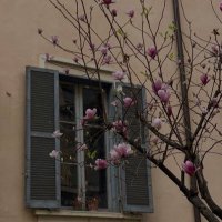 โก (@fhiiwxi) 's Twitter Profile Photo โก (@fhiiwxi) 's Twitter Profile Photo