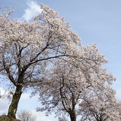 2022Gustav's profile picture. 国家防衛とは国民が平穏に暮らせる　幸せな状態を維持する事であり　他国から武力攻撃を受けるような状況を　作り出さないように努めるのが真の防衛である