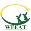 WEEAT is a Rwandan organization promoting women's empowerment through research, capacity building, entrepreneurship, savings, investment & advisory(New account)