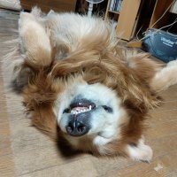@松本卓磨 (@takuma_501) 's Twitter Profile