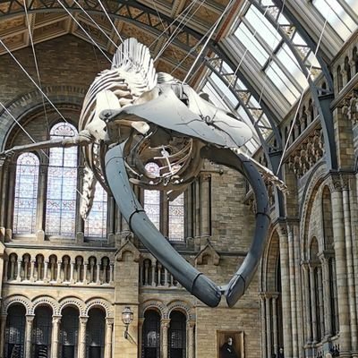 sball1979's profile picture. 