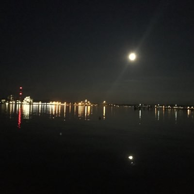 Moonfall_AMC's profile picture. 