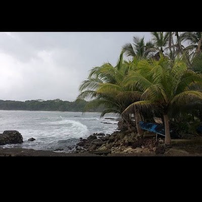 IsfandyarF's profile picture. 