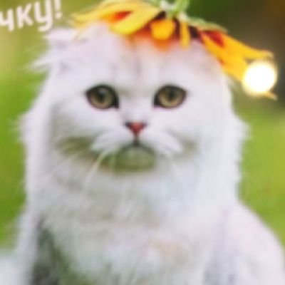 SvetlanaDidovic's profile picture. 