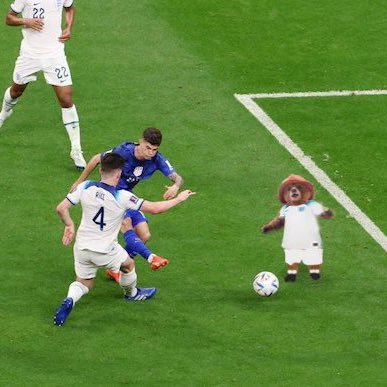 APNLW's profile picture. 