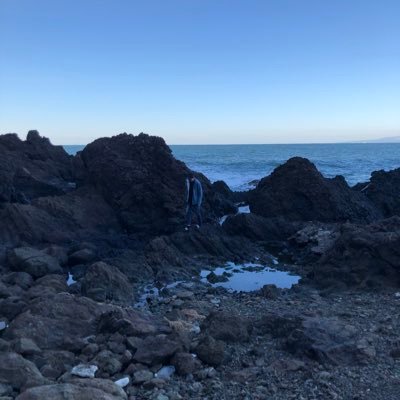 ROMANCEDAWN0120's profile picture. 