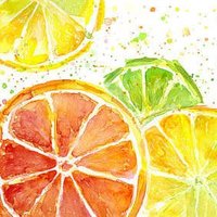 Stephanie Cox (@cox_stephanie) 's Twitter Profile Photo