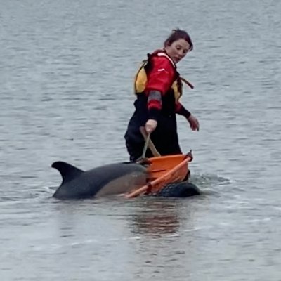 Marine mammals/bumbógs/nature enthusiast & mum. Live Strandings Coordinator with Irish Whale & Dolphin Group. Web designer & GIS.