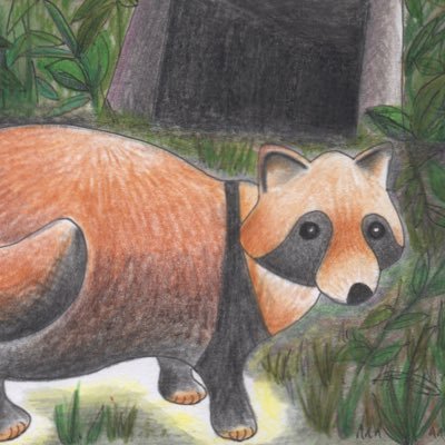 Sano_Ishikura's profile picture. 