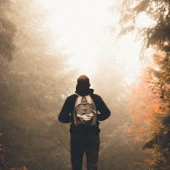 bnQ1_'s profile picture. 