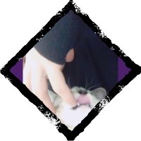 pico (@wasted_pico) 's Twitter Profile