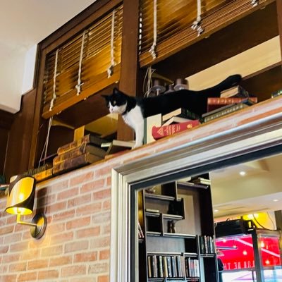 foura_phys's profile picture. 物質と宇宙の起源に興味があって研究しています。まずはPh.D.取得を目標に。Tohoku Univ. / Japan / Ph.D course (3rd year) / 学振DC2 / Experimental study on hadrons & nuclei / HPは近日公開予定 / アイコンはパリで出会った猫