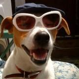 Purljack's profile picture. 