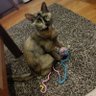 WATABOU_jpn's profile picture. スト6:JP ベガ マスター
オーバーウォッチ:プラチナくらい
  パッド勢です~。海賊です。