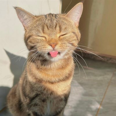 cccpich's profile picture. 