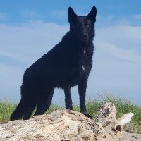 Warrior Code Is NEVER SURRENDER (@neveraslave77) 's Twitter Profile Photo Warrior Code Is NEVER SURRENDER (@neveraslave77) 's Twitter Profile Photo