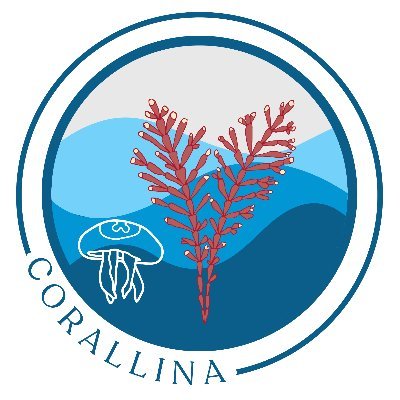 🌊 Divulgación de las ciencias del mar 🦀🐚
🌊 Educación ambiental
🌊 Limpiezas de playa con sentido 🌊🌎💙🐙
🌊 Talleres gratuitos para colegios🕵‍♀️🕵♥️