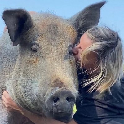 🐷Manager of My Lovely Pig Rescue Farm
🐏Live with 200 pigs/sheep/goats/dogs/equines.    
🌱I don’t eat/drink/wear creatures
🐴Co-founder of MLHR