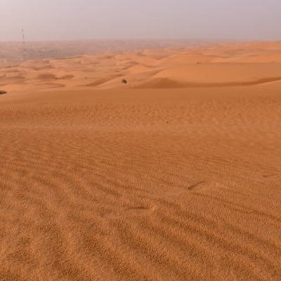 lr7gp's profile picture. 