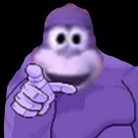 amigo anormal (@amigoanormal) 's Twitter Profile Photo