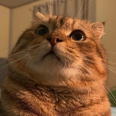 Pmmm86127810's profile picture. 