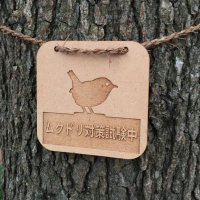..め.. (@c2c21192) 's Twitter Profile