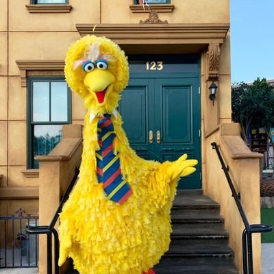 Senator Big Bird