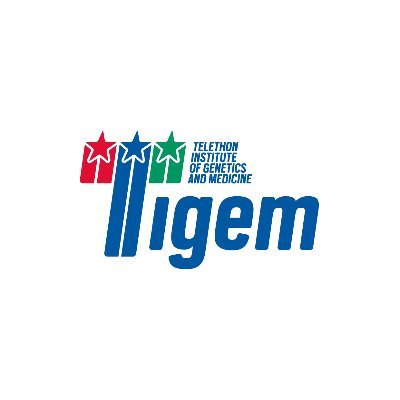 The Telethon Institute of Genetics and Medicine (TIGEM), a Telethon Foundation organization, was founded in 1994 as a leading Italian research center.