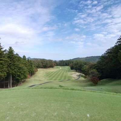 yuyuduzuduyuy's profile picture. おだやかに