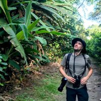 oriol FB (@oriolusfb) 's Twitter Profile