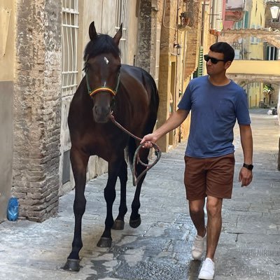 Farrier in newmarket to David Simcock,Tom Clover, the national stud and the drago contrada in Siena Palio