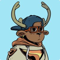 Dr Arno Kikoo (@arno_kikoo) 's Twitter Profile