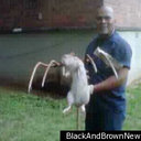 mark etheridge - @etheridgemark - Twitter