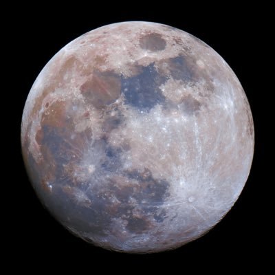 smart_mobs's profile picture. Se le formiche si mettono d’accordo, possono spostare un elefante.