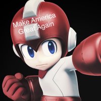 🇺🇸MAGA MAN🇺🇸 (@magamanfjb1) 's Twitter Profile