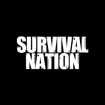 Survival Nation is an open-world online RPG survival game designed for VR.