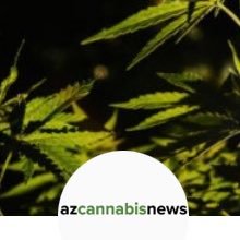 Arizona Cannabis Industry News #AZCannabisNews