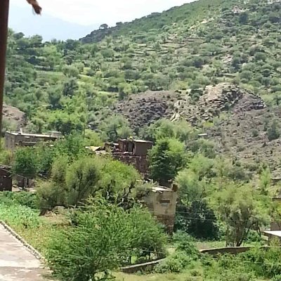 Jamel_Alhaj's profile picture. بك إدارة أعمال