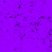 Pretty in Purpleさんのプロフィール画像