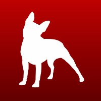 Boston Terrier World (@bterrierdogs) 's Twitter Profile Photo