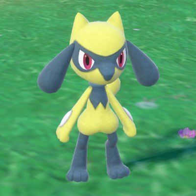Shiny Hunter desde 2010.
Shuny Hunter since 2010.