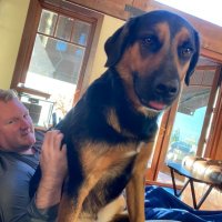 Brock Guthrie (@brockguthrie) 's Twitter Profile