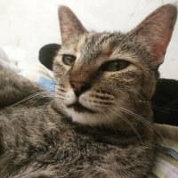 sad michi 🏴 (@sutekifolie) 's Twitter Profile Photo